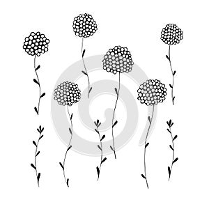 Hand drawn vector illustration. A set of simple twigs