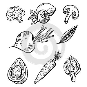 Hand drawn vector illustration set vegetables