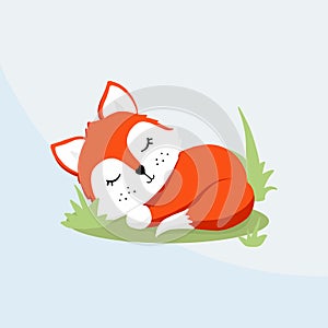 Hand drawn vector illustration sleeping red fox