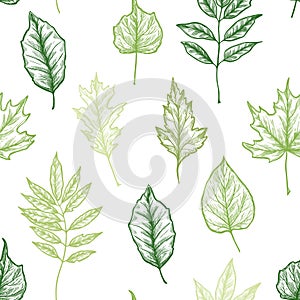 Hand drawn vector illustration. Spring seamless pattern with green leaves, herbs and branches. Floral Design elements. Perfect