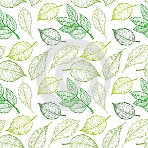 Hand drawn vector illustration. Spring seamless pattern with green leaves, herbs and branches. Floral Design elements. Perfect