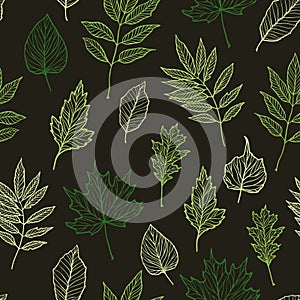 Hand drawn vector illustration. Spring seamless pattern with green leaves, herbs and branches. Floral Design elements. Perfect