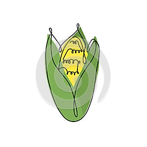 Hand drawn vector illustration of a sweet corn in single line style. Cute llustration of a vegetable on a white