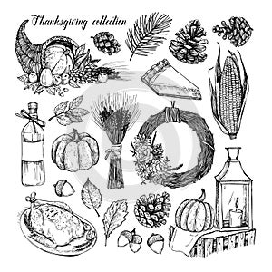 Hand drawn vector illustration - Thanksgiving collection. Perfect for invitations, greeting cards, prints, packaging and more. A