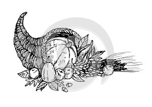 Hand drawn vector illustration - Thanksgiving day. Cornucopia photo