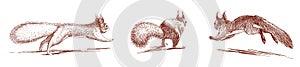 Hand drawn vector illustration of three red nimble fluffy funny forest squirrels jumping and running away photo