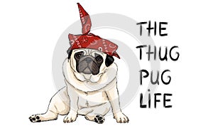 Hand drawn vector illustration of thug pug puppy dog, sitting down with red western scarf bandana