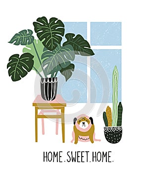 Hand drawn vector illustration with tropical house plants, window and cute dog. Modern home decor in scandinavian style.