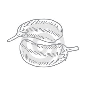 Hand-drawn vector illustration of two eggplants.