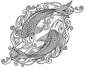 Hand drawn vector illustration of two Koi fishes (Japanese carp)