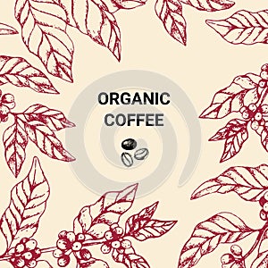 Hand drawn Vector illustration with vintage coffee frame. Template for Organic coffee shop.