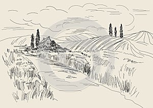 Hand drawn vector Illustration of wheat fields and village house. Ink drawing in vintage style