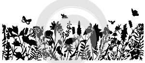 Hand drawn vector illustration of wild flowers, herbs, grasses, insects. Thin silhouette of plants