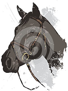 Hand drawn vector illustration of a wild horse