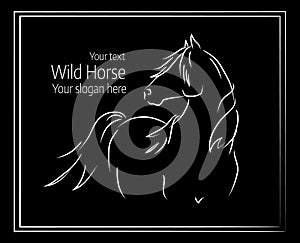 Hand drawn vector illustration of wild horse