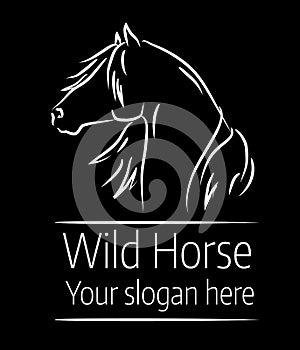 Hand drawn vector illustration of wild horse on black background