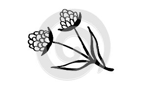 Hand drawn vector illustration of wildflowers