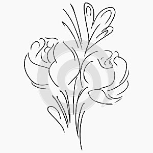 Hand Drawn Vector Illustrations Of Abstract Peony Flower Isolated on Gray. Floral Design Elements For Invitations, Greeting Cards