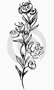 Hand Drawn Vector Illustrations Of Abstract Peony Flower Isolated on Gray. Floral Design Elements For Invitations, Greeting Cards