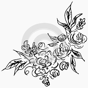 Hand Drawn Vector Illustrations Of Abstract Peony Flower Isolated on Gray. Floral Design Elements For Invitations, Greeting Cards