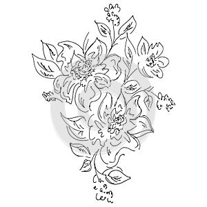 Hand Drawn Vector Illustrations Of Abstract Set of Flowers Isolated on White. Hand Drawn Sketch of a Flowers