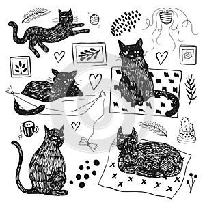 Hand drawn vector illustrations of cat characters set. Sketch style.