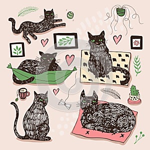 Hand drawn vector illustrations of cat characters set. Sketch style.
