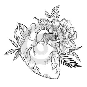 Hand drawn vector illustrations - Human heart with flowers photo