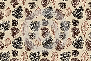 Hand drawn vector illustrations. Seamless pattern with pine cones