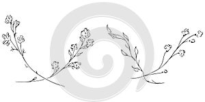 Hand Drawn Vector Illustrations Set Of Branches With Flowers and Leaves Isolated on White. Hand Drawn Sketch of a Flowers