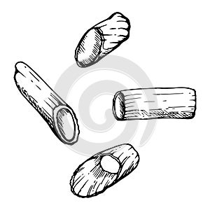 Hand drawn vector ink illustration. Pasta Italian cuisine penne rigatoni traditional dish. Set of single object elements