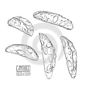 Hand drawn vector italian cantucci illustration pastry