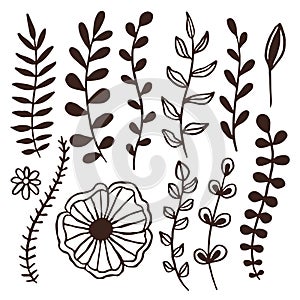 Hand drawn vector leaves decorations. Floral decorative border elements. Branches silhouette vector design for statioinery or
