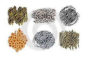 Hand drawn vector leopard, zebra, cheetah, tiger and giraffe textured ink brush strokes artistic backgrounds set. Paint