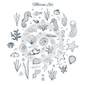 Hand drawn vector marine set with seahorses, shells, stars, seaweed, fish, coral and bubbles. Sea creatures outline on the white photo