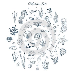 Hand drawn vector marine set with seahorses, shells, stars, seaweed, fish, coral and bubbles. Sea creatures outline on the white