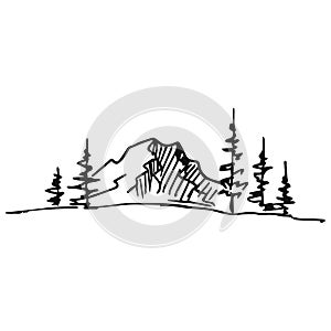 Hand drawn vector of mountain landscape with pine trees