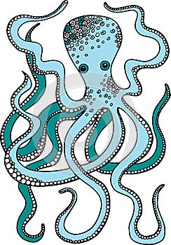Hand drawn vector octopus illustration. Decorative octopus doodle drawing