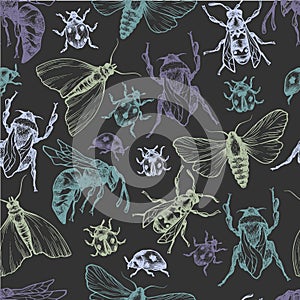 Hand drawn vector pattern with insects in different poses.