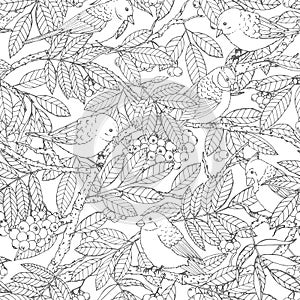 Hand drawn vector seamless pattern with birds, branches, leaves and rowanberry outline on white background. For coloring book photo