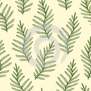 Hand-drawn vector seamless pattern. Green leaves of fern, forest grass on a light beige background. Nature, plants.