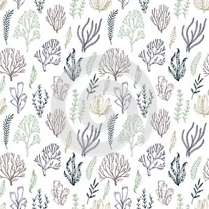 Hand drawn vector seamless patterns. Seaweed. Background with he