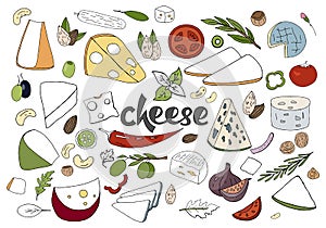 Hand drawn vector set with different types of cheeses, spices and nuts i