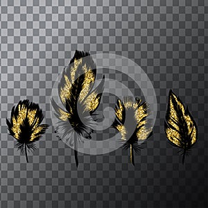 Hand drawn, vector set of gold feathers. Vintage tribal.