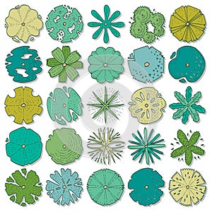 Hand drawn vector set of top view trees