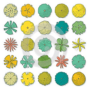 Hand drawn vector set of top view trees