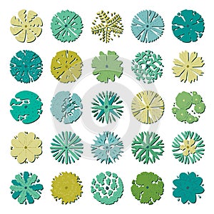 Hand drawn vector set of top view trees