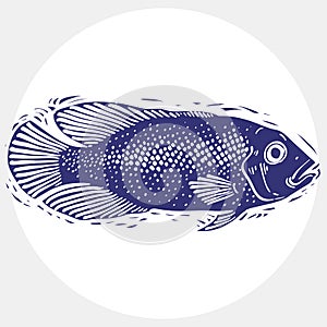 Hand drawn vector simple fish isolated, seafood graphic element.