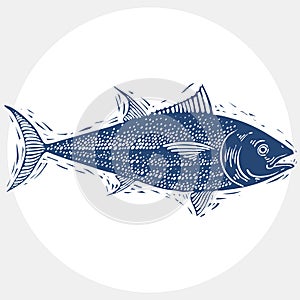 Hand drawn vector simple fish , seafood graphic element.