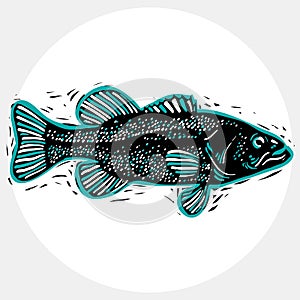 Hand drawn vector simple fish , seafood graphic element.